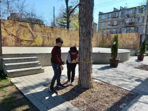Activitate transdisciplinară: „Ziua Pământului”, aprilie 2021 — fotografia 18